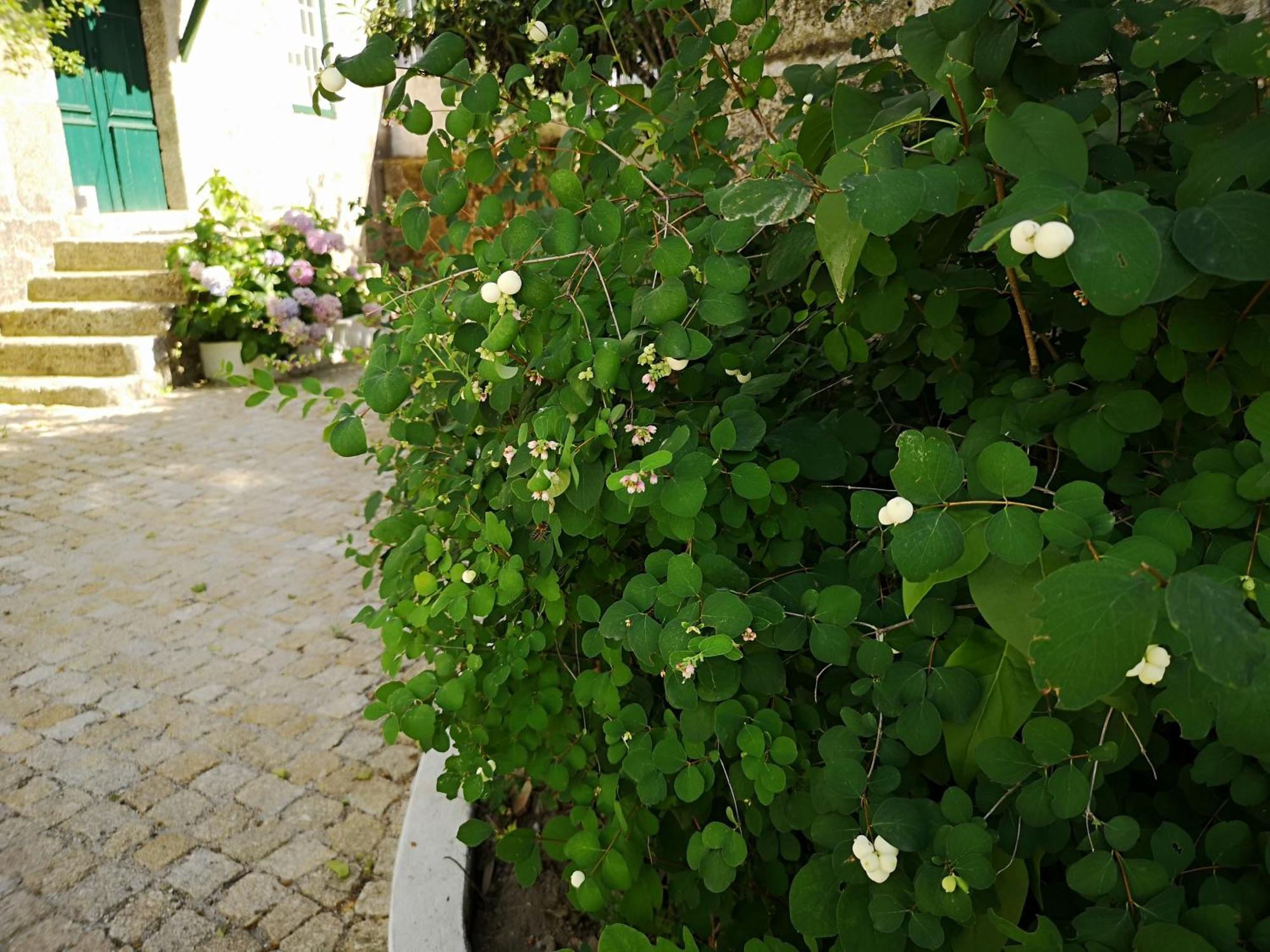 Refugio De Calheiros Villa Covilhã Kültér fotó