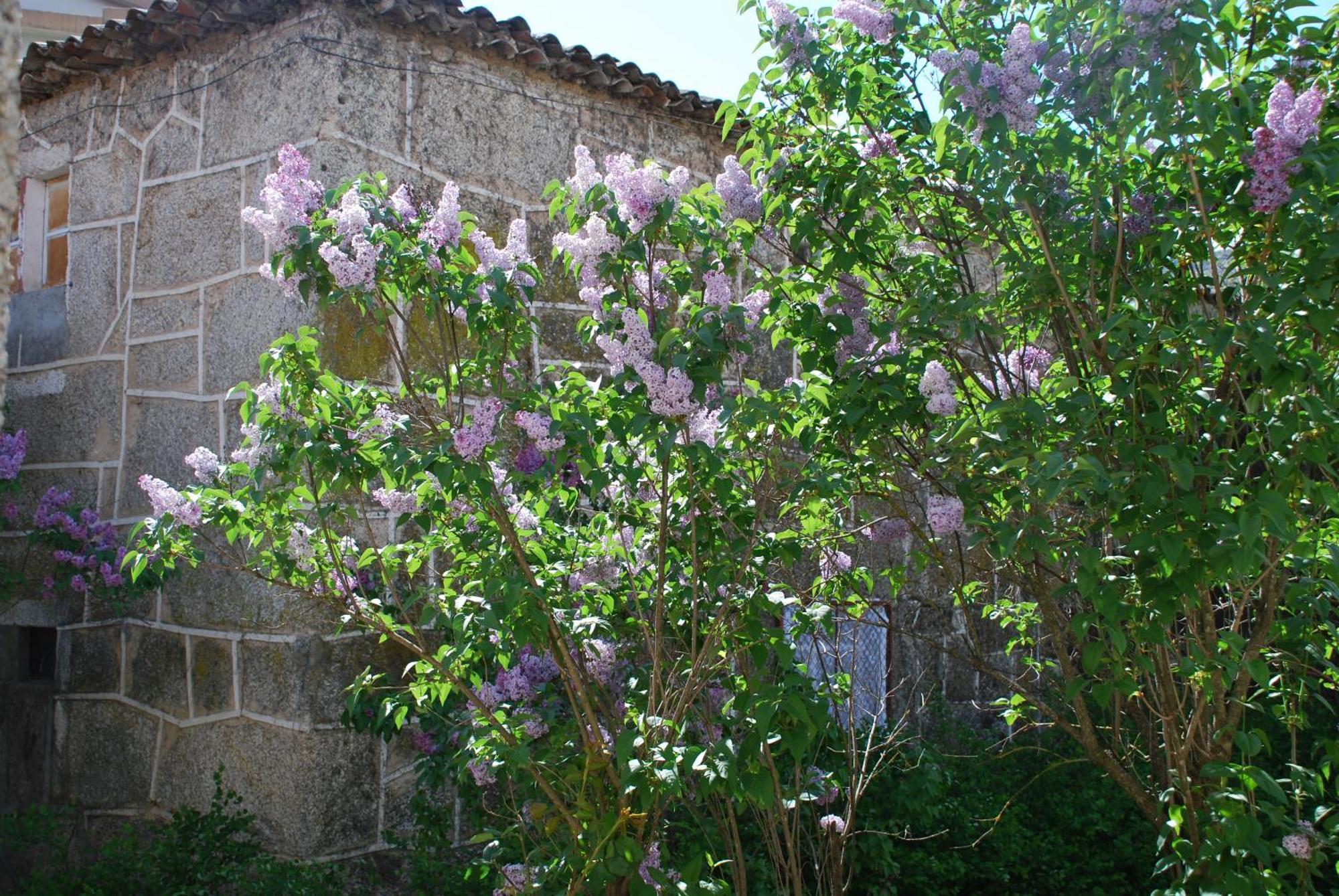 Refugio De Calheiros Villa Covilhã Kültér fotó